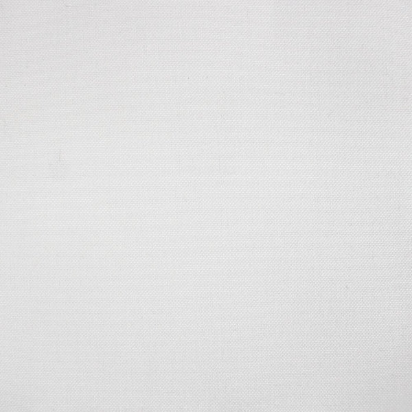 Ay Nova White Prem Plus Plus