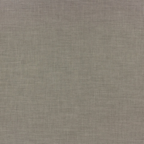 Ay Pace Fog Prem Plus Plus