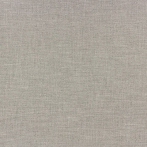 Ay Pace Natural Prem Plus Plus