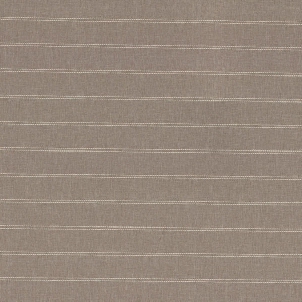 Nassau Stripe Oyster PLS PLS