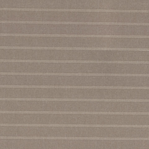 Nassau Stripe Oyster PLS PLS