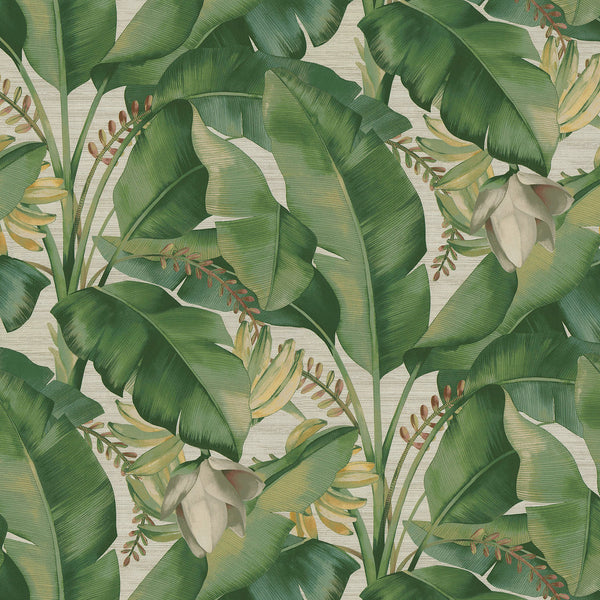 Tommy Bahama Among Fronds Aloe Premium Plus Plus