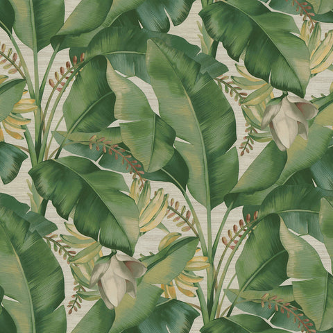 Tommy Bahama Among Fronds Aloe Premium Plus Plus