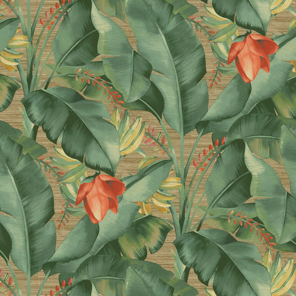 Tommy Bahama Among Fronds Rattan Premium Plus Plus