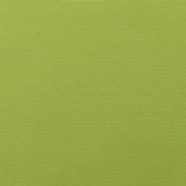 Canvas Macaw (Sunbrella) PRM Plus Plus