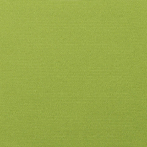 Canvas Macaw (Sunbrella) PRM Plus Plus